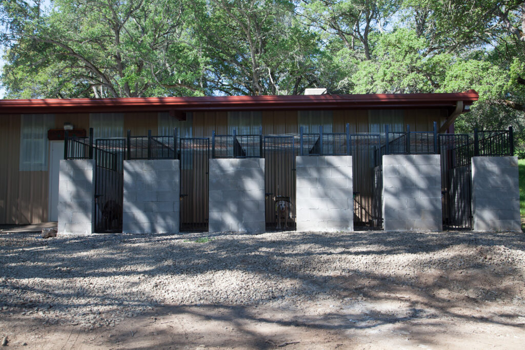 Dog Boarding exterior accomodations