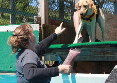 Dog diving training