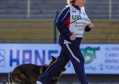 schutzhund dog training United States