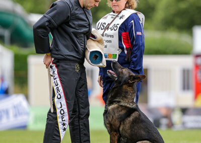 schutzhund dog training