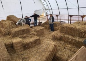 Barn hunting for sales dogs